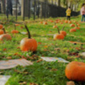 Meet your Posher, Lousy